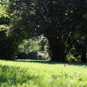 hochbegabte-kinder-eltern